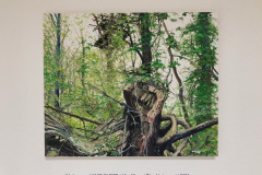 Download-10