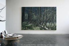 2005-Atelier-in-den-Talbotwerken-Aachen-Gemaelde-WALD-200-x-300-cm-Oel-auf-Leinwand-