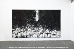 Abb.-56-2013-Galerie-Quee-Anne-Bauwollspinnerei-Leipzig-THE-DAY-THAT-NEVER-COMES-.-Werkgruppe-.-folge-mir-.-HELGE-MACHT-FEUER-260-x-450-cm-