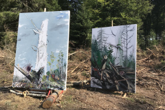 114-Reinhardswald-2-Beide-fertig-22.-August-2019