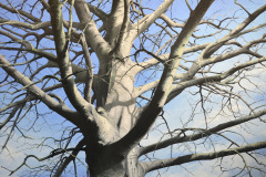 H.-22-DU-22-200-x-300-cm-Öl-a.lw_.-2014