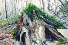 H.-BWW.-3-Erhebung-im-Mittelgebirge-48-x-55-cm-Öl-a.-Lw.-2016-