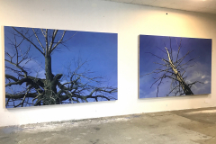 H.-DU-DU-2-x-....-200x-300-cm-Öl-a.Lw_.-2019