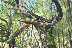 S.-Baumportrait-Auenwald-Leipzig-160-x-120-cm-Öl-a.Lw_.-plein-air-2018