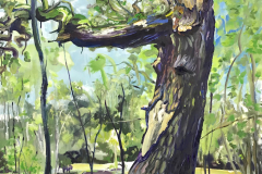 S.-Baumportrait-Auenwald-Leipzig-stille-Riesen-160-x-120-cm-Öl-a.Lw_.-plein-air-2018-