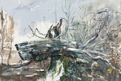 S.-Baumportrait-RHW-Der-UR-WAL-im-Urwald-180-x-250-cm-Öl-a.Lw_.-plein-air-29.-01.2019-