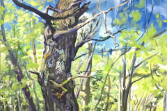 S.-Baumportrait-stille-Riesen-tanzende-Eiche-Auenwald-Leipzig-160-x-120-cm-Öl-a.Lw_.-plein-air-2018-