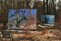 www.helge-saxana.com