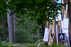 19-Durch-die-Blaetter-
