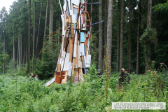 2011-Sperrmuellbaumplastik-Sie-stand-ein-halbes-Jahr-im-Wald-Detail-Foto-2