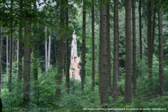 2011-Sperrmuellbaumplastik-Sie-stand-ein-halbes-Jahr-im-Wald-Detail-Foto-3