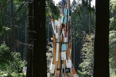 21-das-ist-glaube-ich-eins-der-schoensten-Fotos-die-ich-vom-Sperrmuellbaum-machen-konnte-