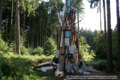 24-das-hier-ist-wiederum-ein-wunderschoenes-Foto-dieser-Erscheinung.-Im-Wald-war-sie-je-nach-Lichtstimmung-und-Wetter-immer-wieder-anders-.-