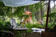 6-2011-Blick-aus-dem-Waldbuero-auf-den-wachsenen-Sperrmuellbaumstumpf