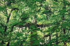 Download-2