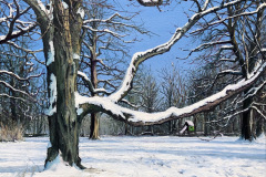 Bild-11-Werkruppe-WIRD-ES-SCHNEE-GEBEN-40-x-50-cm-Oel-auf-Leinwand-2026
