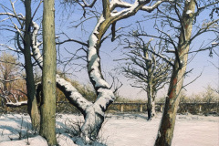 Bild-5-Werkruppe-WIRD-ES-SCHNEE-GEBEN-40-x-50-cm-Oel-auf-Leinwand-2026-