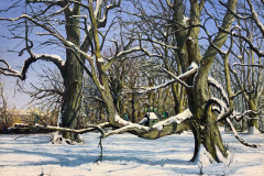 Bild-6-Werkruppe-WIRD-ES-SCHNEE-GEBEN-40-x-50-cm-Oel-auf-Leinwand-2026-