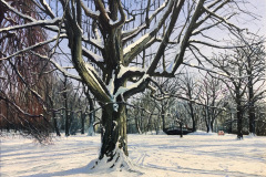 Werkruppe-WIRD-ES-SCHNEE-GEBEN-40-x-50-cm-Oel-auf-Leinwand-2026-Bild-12-