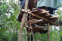 Ein-Häuschen-landete-nach-der-ausstellung-im-Keyenberger-Wäldchen-IN-UNSER-ALLER-WALD