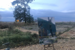lonely-oak-2019 lonely-oak-2019